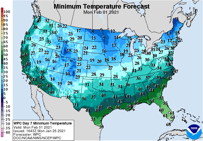 WPC 7 Minimum Temperature Forecast